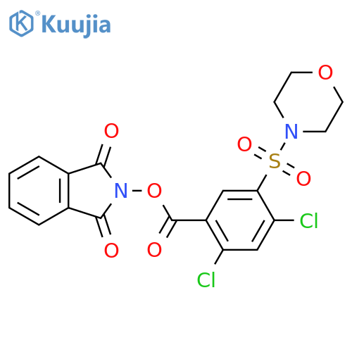 1,3-dioxo-2,3-dihydro-1H-isoindol-2-yl 2,4-dichloro-5-(morpholine-4-sulfonyl)benzoate structure