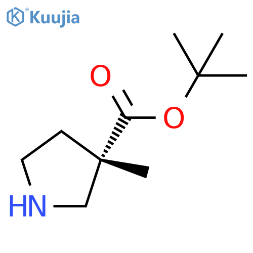 (S)-3-Methyl-pyrrolidine-3-carboxylic acid tert-butyl ester structure