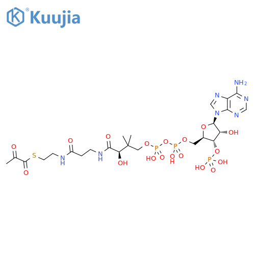 Coenzyme A, S-(2-oxopropanoate) (9CI, ACI) structure