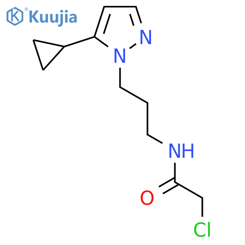 2-chloro-N-3-(5-cyclopropyl-1H-pyrazol-1-yl)propylacetamide structure