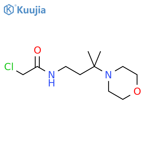 2-chloro-N-3-methyl-3-(morpholin-4-yl)butylacetamide structure
