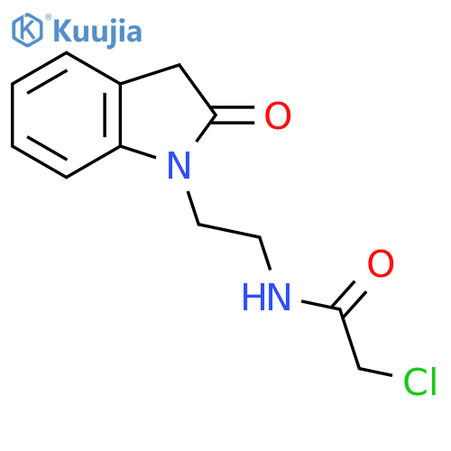 2-chloro-N-2-(2-oxo-2,3-dihydro-1H-indol-1-yl)ethylacetamide structure