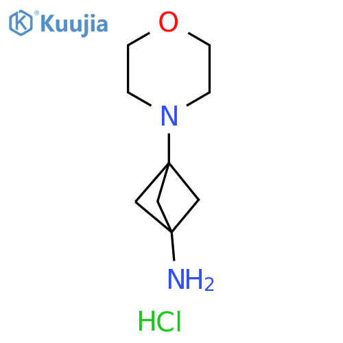 3-Morpholin-4-yl-bicyclo[1.1.1]pent-1-ylamine dihydrochloride structure