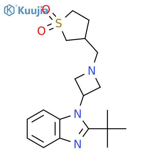 3-{[3-(2-tert-butyl-1H-1,3-benzodiazol-1-yl)azetidin-1-yl]methyl}-1lambda6-thiolane-1,1-dione structure