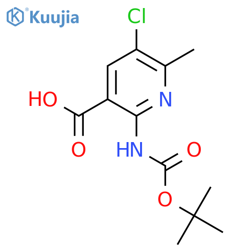 2-{(tert-butoxy)carbonylamino}-5-chloro-6-methylpyridine-3-carboxylic acid structure