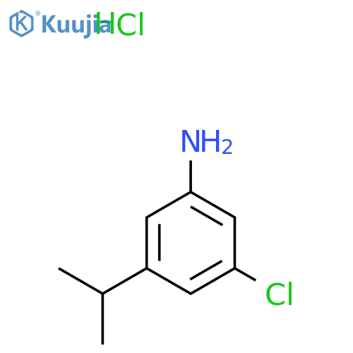 3-Chloro-5-(propan-2-yl)aniline hydrochloride structure
