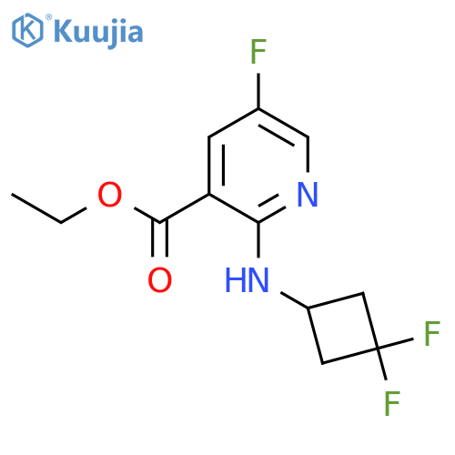 ethyl 2-(3,3-difluorocyclobutyl)amino-5-fluoropyridine-3-carboxylate structure