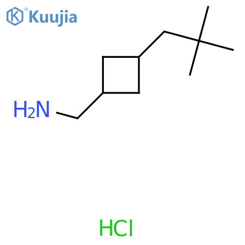 1-3-(2,2-dimethylpropyl)cyclobutylmethanamine hydrochloride structure