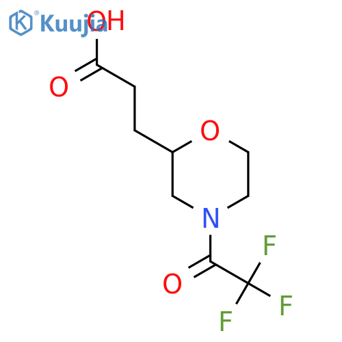 3-4-(2,2,2-trifluoroacetyl)morpholin-2-ylpropanoic acid structure