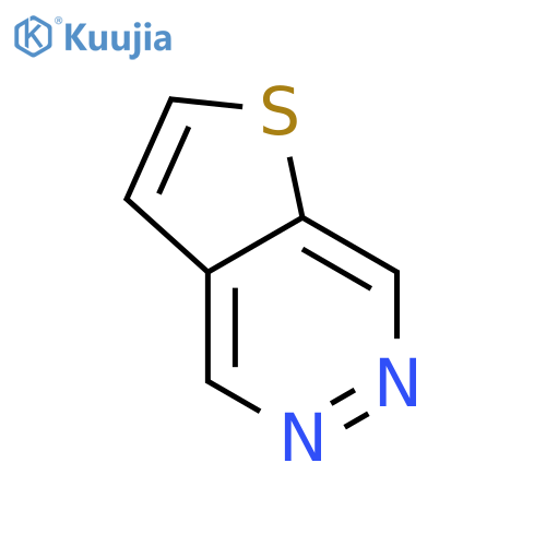 Thieno[2,3-d]pyridazine structure