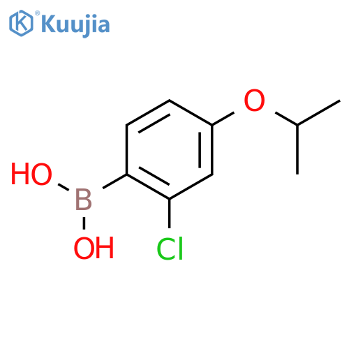[2-chloro-4-(propan-2-yloxy)phenyl]boronic acid structure