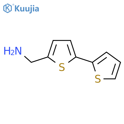 [2,2'-Bithiophen]-5-ylmethanamine structure