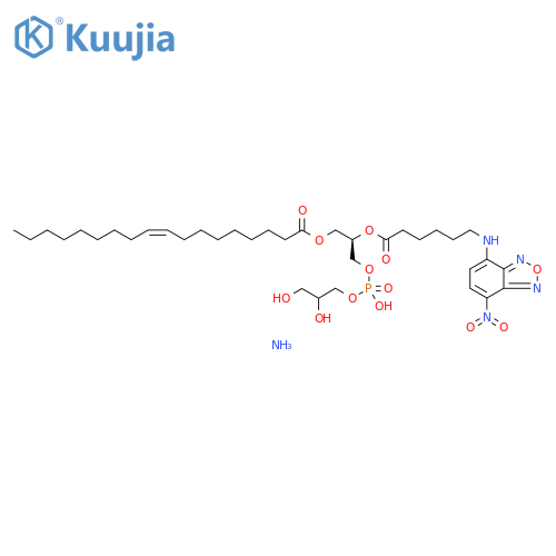 18:1-06:0 NBD PG structure