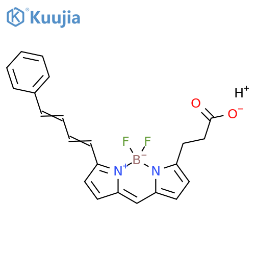 BDP 581/591 carboxylic acid structure