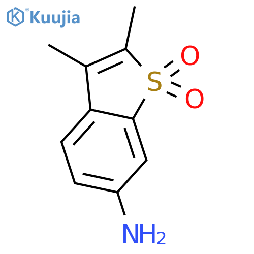 6-amino-2,3-dimethyl-1lambda6-benzothiophene-1,1-dione structure