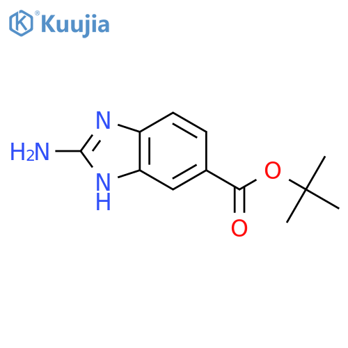 tert-butyl 2-amino-1H-1,3-benzodiazole-6-carboxylate structure