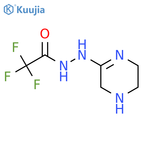 N-(2Z)-Piperazin-2-ylidene-2,2,2-trifluoroacetohydrazide structure