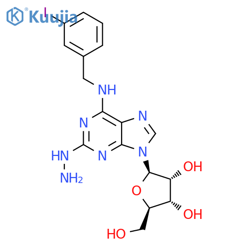 ADENOSINE, 2-HYDRAZINO-N-[(3-IODOPHENYL)METHYL]- structure