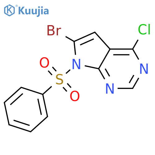 7-(benzenesulfonyl)-6-bromo-4-chloro-7H-pyrrolo[2,3-d]pyrimidine structure