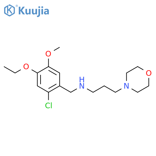 (2-Chloro-4-ethoxy-5-methoxy-benzyl)-(3-morpholin-4-yl-propyl)-amine structure