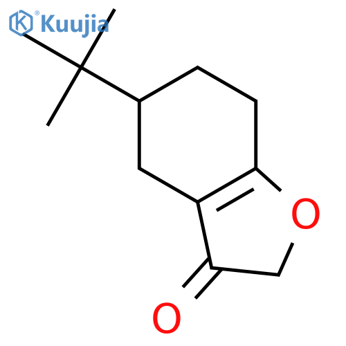 3(2H)-Benzofuranone, 5-(1,1-dimethylethyl)-4,5,6,7-tetrahydro- structure