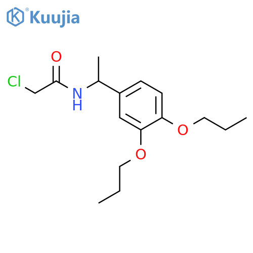 2-chloro-N-1-(3,4-dipropoxyphenyl)ethylacetamide structure