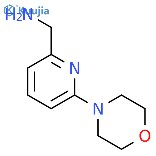 (6-morpholino-2-pyridyl)methanamine structure