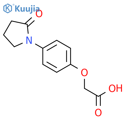 2-4-(2-Oxopyrrolidin-1-yl)phenoxyacetic Acid structure