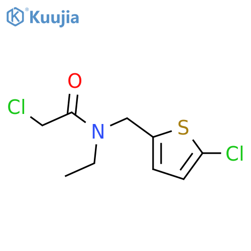2-Chloro-N-(5-chlorothiophen-2-yl)methyl-N-ethylacetamide structure