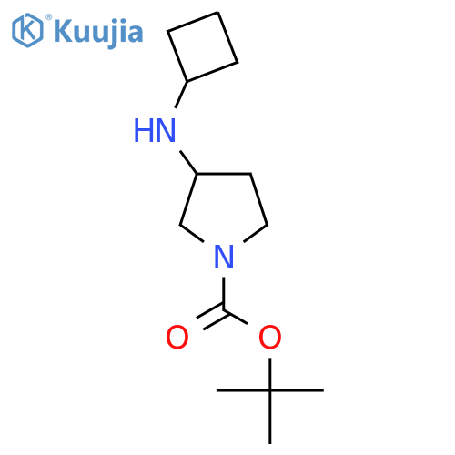 Tert-butyl 3-(cyclobutylamino)pyrrolidine-1-carboxylate structure