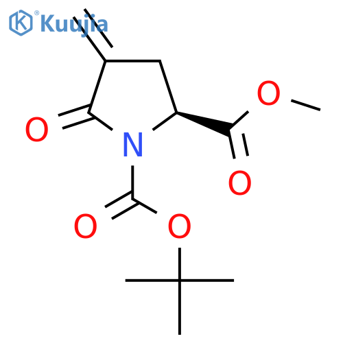 1-(tert-butyl) 2-methyl (S)-4-methylene-5-oxopyrrolidine-1,2-dicarboxylate structure