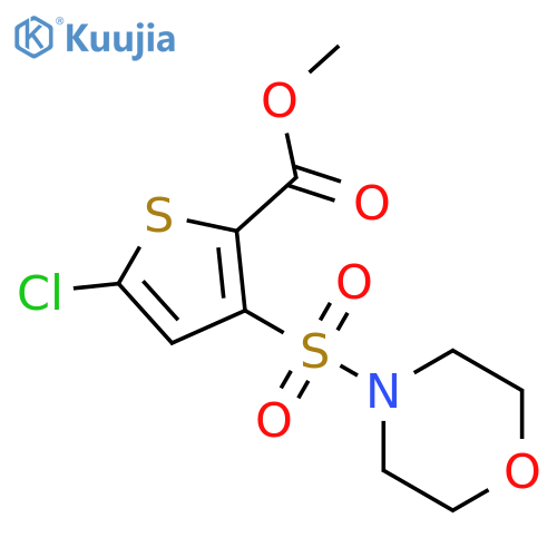 5-Chloro-3-(morpholine-4-sulfonyl)-thiophene-2-carboxylic acid methyl ester structure