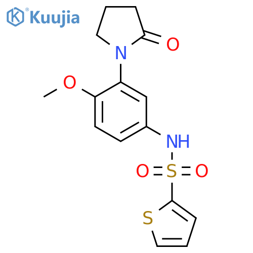 N-4-methoxy-3-(2-oxopyrrolidin-1-yl)phenylthiophene-2-sulfonamide structure