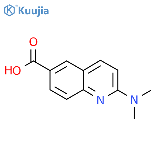 2-(Dimethylamino)quinoline-6-carboxylic acid structure